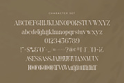 Vannesa - Classy Serif Font, a Serif Font by Aqeel_Art (Thumbnail 8 of 9)