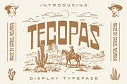 Typeface Bundle | Font Collection, a Sans Serif Font by Daniel Neuman (Thumbnail 2 of 11)