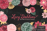 Vector & Clipart Dahlia Flowers, an Illustration by Amanda Ilkov (Thumbnail 2 of 4)