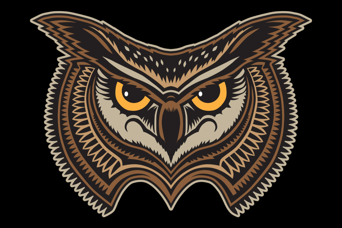 Owl, an Animal Illustration by Bakhtiozin art graphic (Photo 1 of 4)