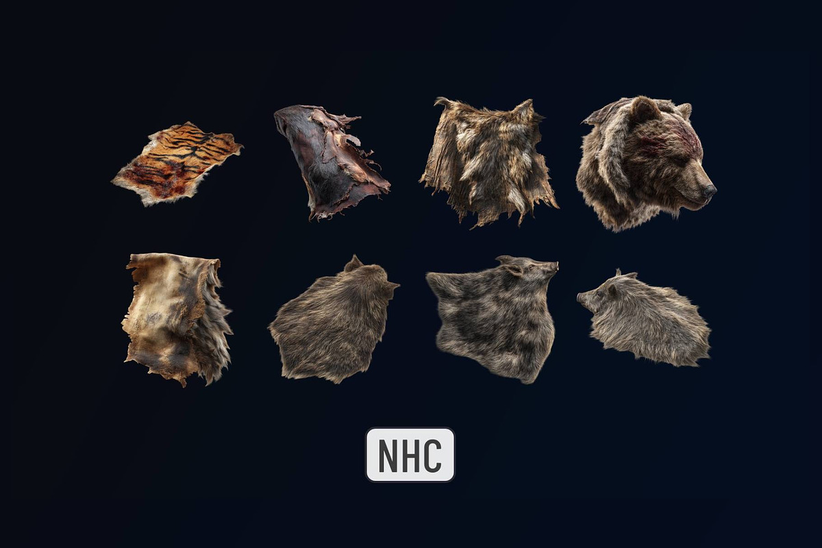 NHC – Leather Animal Trophies, an Animal Illustration by New Horizon Creators (Photo 6 of 6)