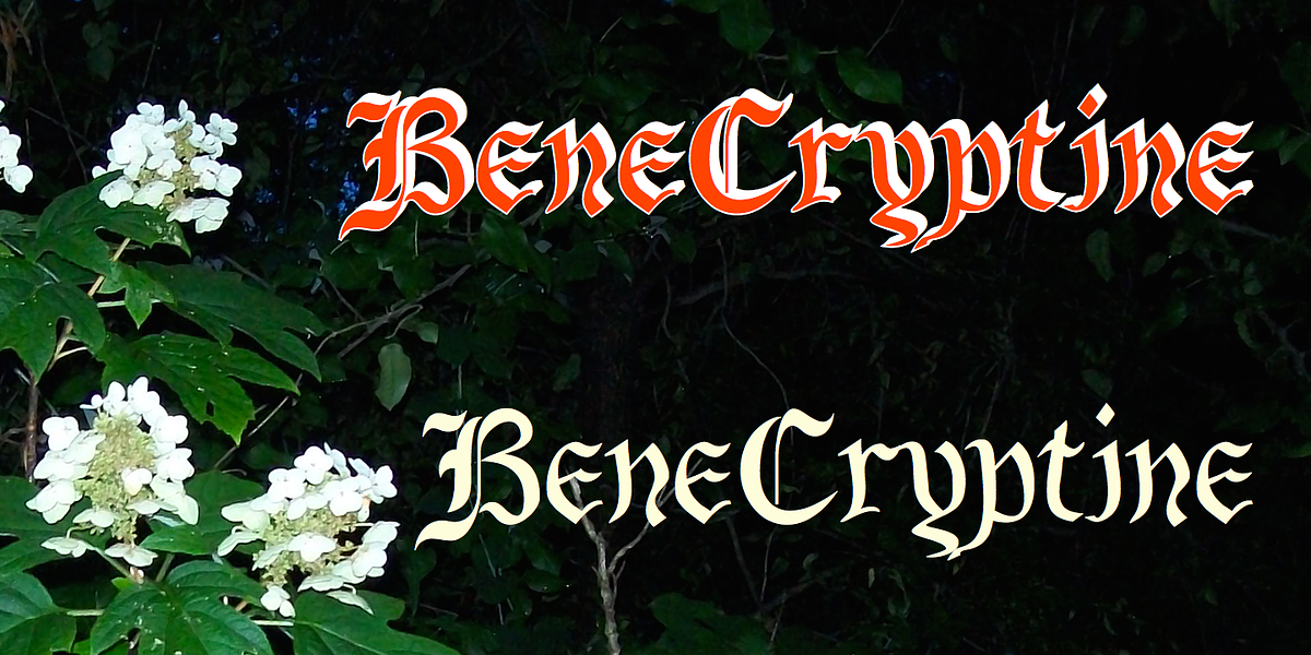 BeneCryptine, a Blackletter Font by Ingrimayne Type (Photo 2 of 6)
