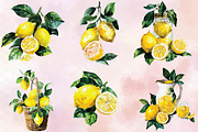 Watercolor Lemon Clipart, an Illustration by SVGArt (Thumbnail 4 of 4)