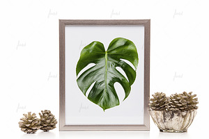 Silver 8x10" frame isolated mockup