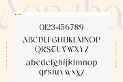 Aorytha - Modern Display Typeface, a Serif Font by Namara Creative Studio (Thumbnail 9 of 15)