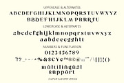 chatime - a bold ligature font, a Serif Font by NYDESIGN (Thumbnail 10 of 11)