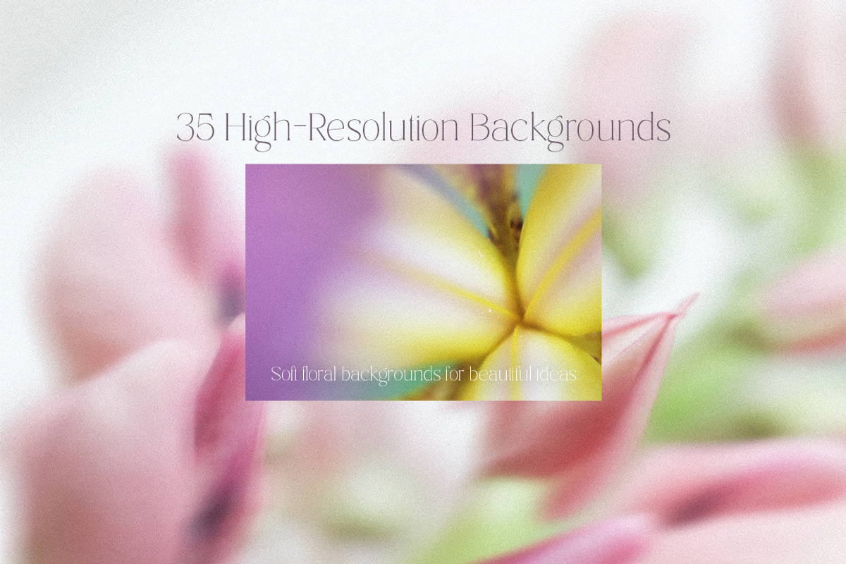 Dreamy Blurred Floral Backgrounds, a Background Graphic by dlinnaya (Photo 2 of 9)