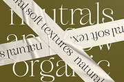 Magiras Swift Modern Serif Font, a Serif Font by timelesstype.co (Thumbnail 2 of 15)