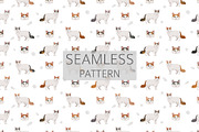 Turkish Van cat clip art, an Animal Illustration by pet design shop (Thumbnail 5 of 5)