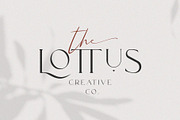 Rodetta Rossie Font Duo + Logos, a Serif Font by BrandSemut (Thumbnail 16 of 18)
