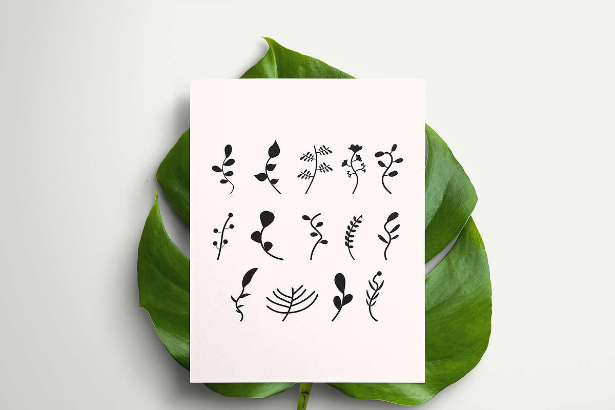 Hand Drawn Leaf Set Vector, an Illustration by M9 Design (Photo 7 of 8)