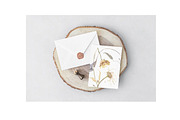 Dry Flowers Watercolor Clipart, a Decorative Illustration by NKTKNS (Thumbnail 6 of 6)