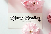 Switella - Modern Decorative Font, a Serif Font by TypeClassHeroes (Thumbnail 4 of 10)