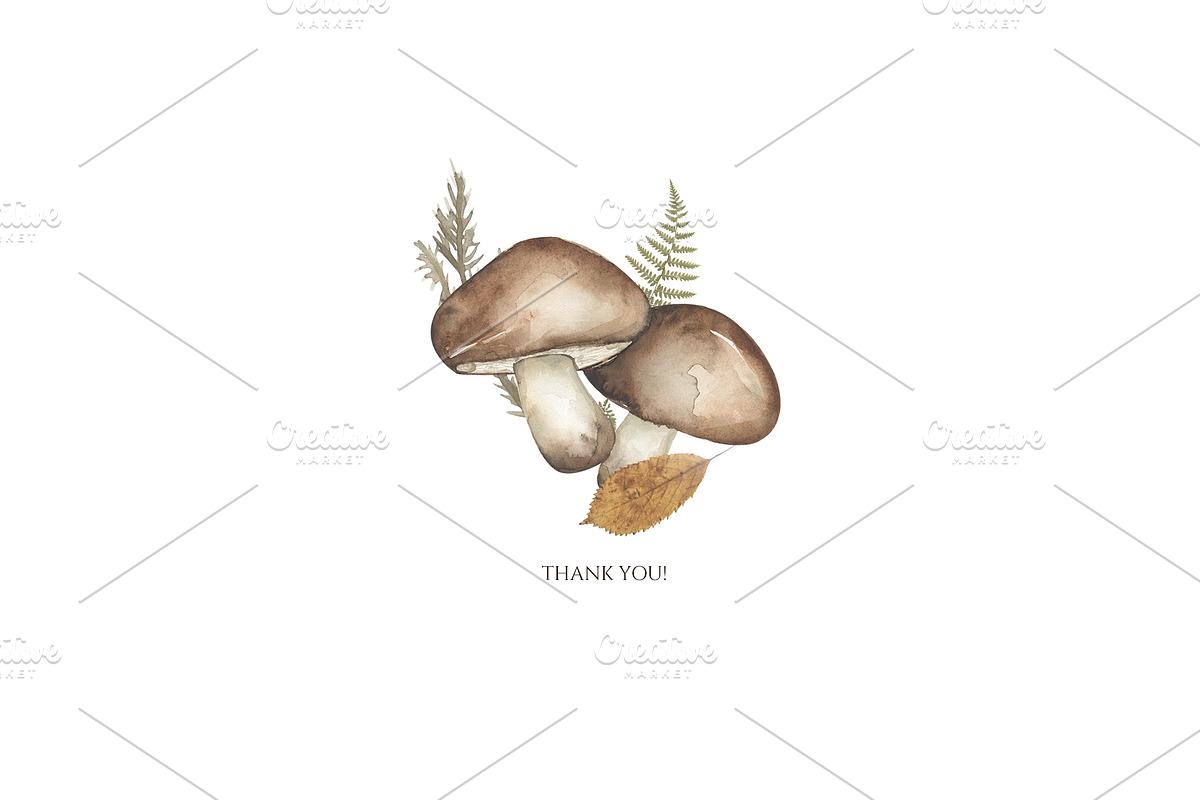 Watercolor Mushrooms Collection, an Education Illustration by MayaNavits (Photo 14 of 14)