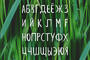 Leafy Extended Brush Font, a Script Font by Wild Ones (Thumbnail 6 of 8)