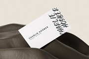 Black Butter, a Script Font by Ditatype (Thumbnail 6 of 10)