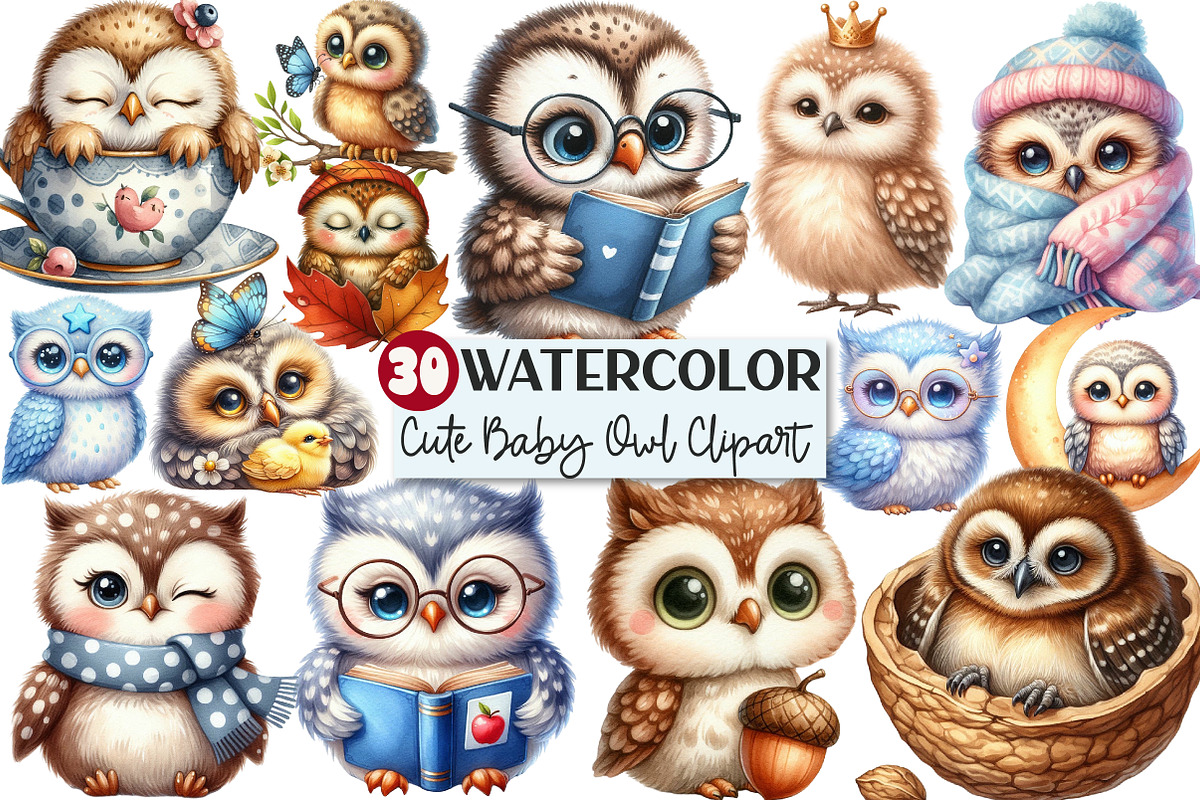 Watercolor Baby Owl Clipart, an Illustration by Rose Art (Photo 1 of 7)