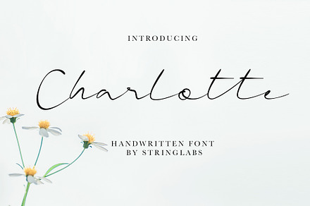 Charlotte - Casual Handwritten Font, a Script Font by StringLabs