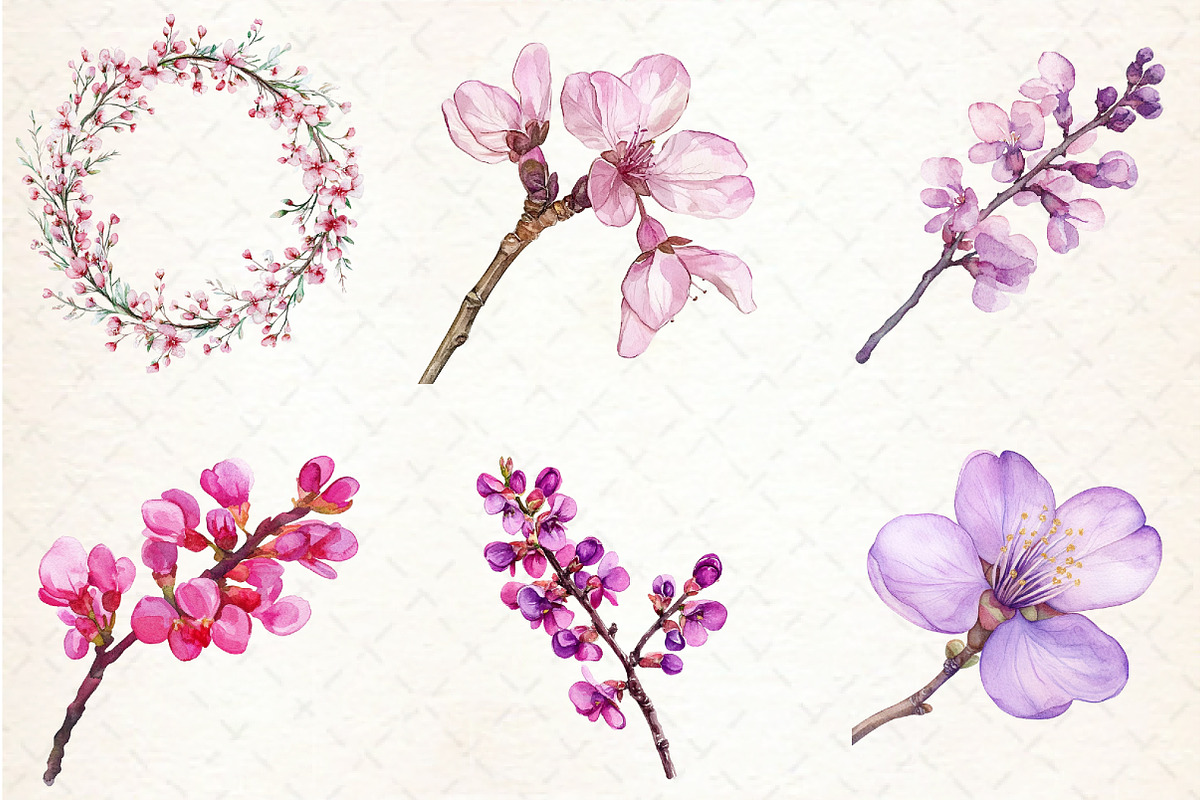 Spring Redbud Flower Clipart, an Illustration by Libby Wishes (Photo 6 of 7)