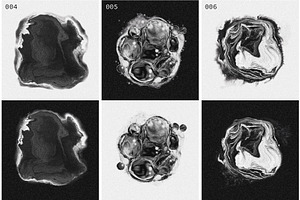 SPACE SPECIMENS Retro Abstract Blobs