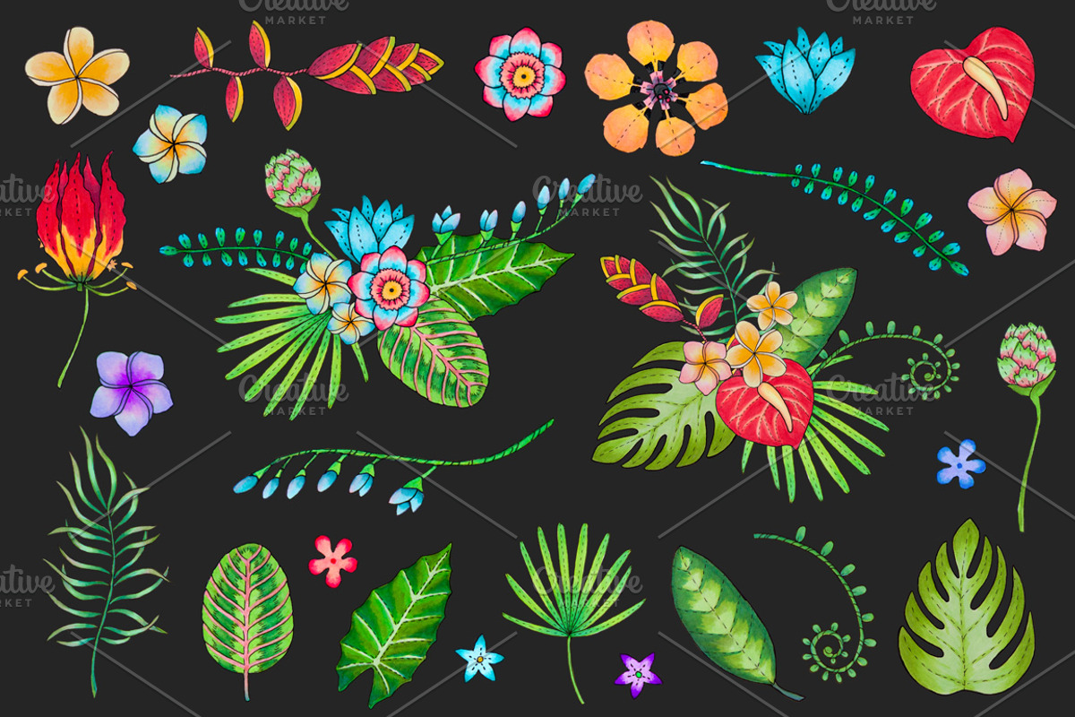 Discover the tropical jungle, a Decorative Illustration by Designifty (Photo 3 of 3)