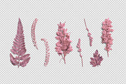 Rose Quartz Pressed Botanical PNG, an Object Graphic by Custom Scene (Thumbnail 2 of 8)