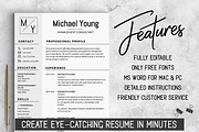Professional Resume CV Template, a Resume Template by LevelUpResume (Thumbnail 2 of 5)
