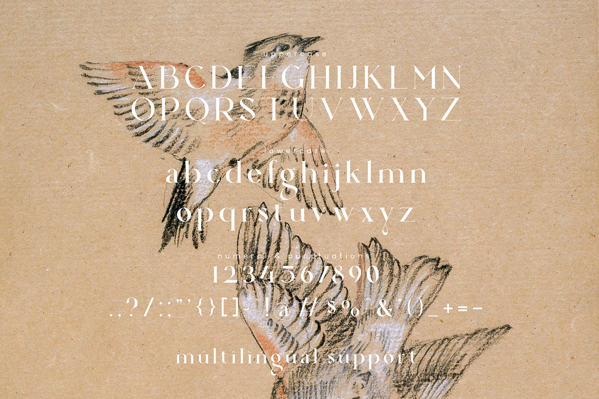 Ahganirya Serif Font, a Serif Font by Hishand Studio (Photo 8 of 10)