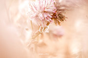 10 NATURAL BACKGROUNDS, a Background Photo by Valeriia Miller (Thumbnail 3 of 11)