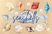 Watercolor seashells clipart, an Object Graphic by My Creative Corner (Thumbnail 2 of 3)