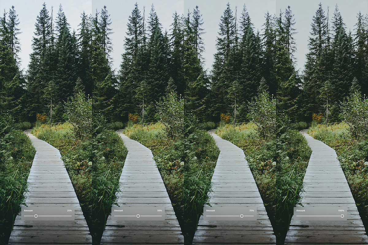 Fuji FP 100C II, a Preset Add-On by colorituals (Photo 2 of 8)