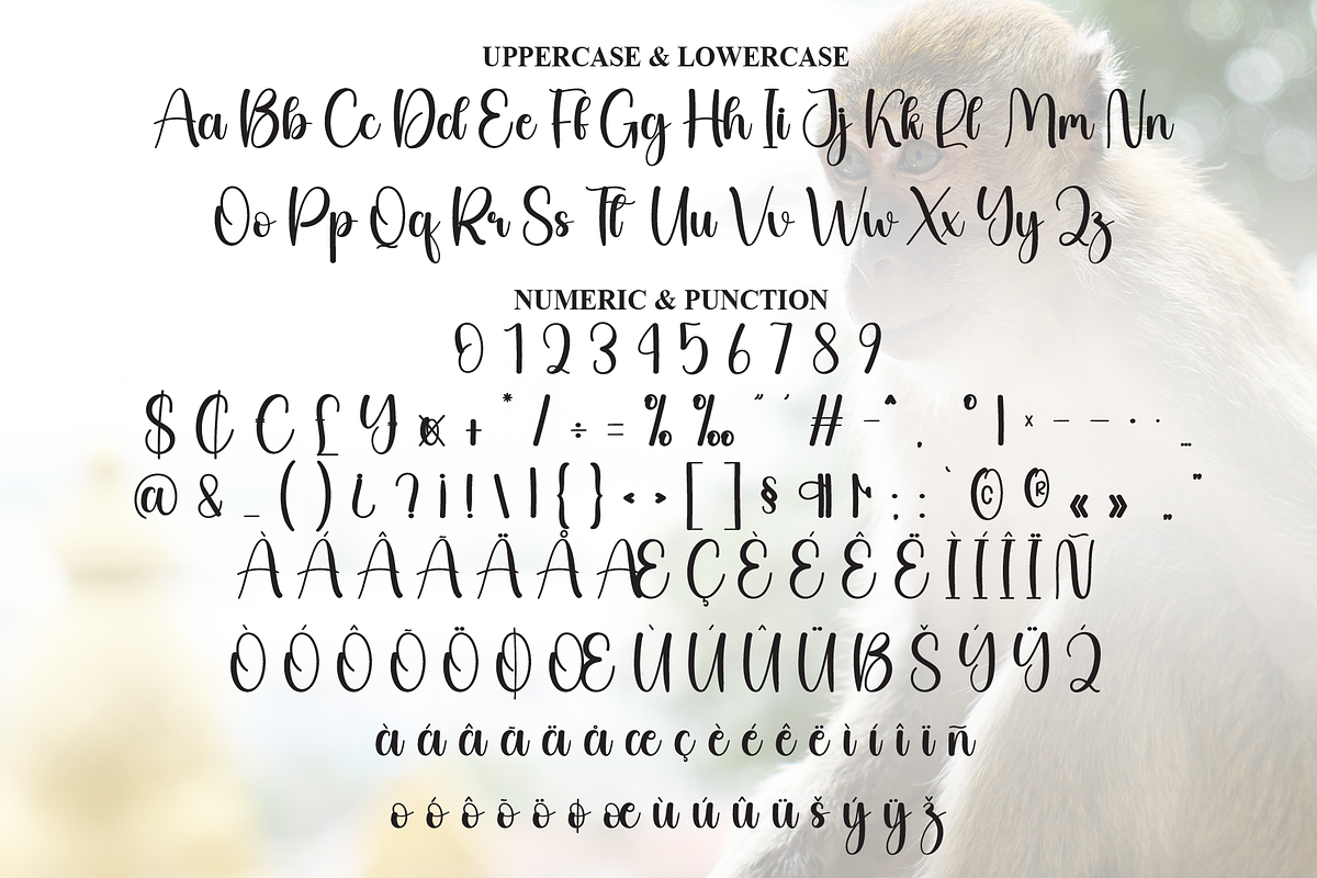 Monkey | Script Font, a Handwritten Font by Scratchones (Photo 7 of 9)