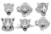 LEOPARD, an Animal Illustration by Tanya Akhmett (Thumbnail 2 of 9)