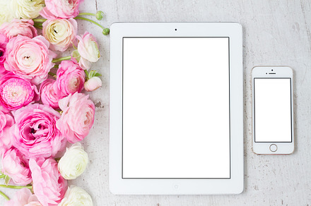 Pink and white ranunculus flowers stock photo containing flowers and, a Business Photo by Neirfy