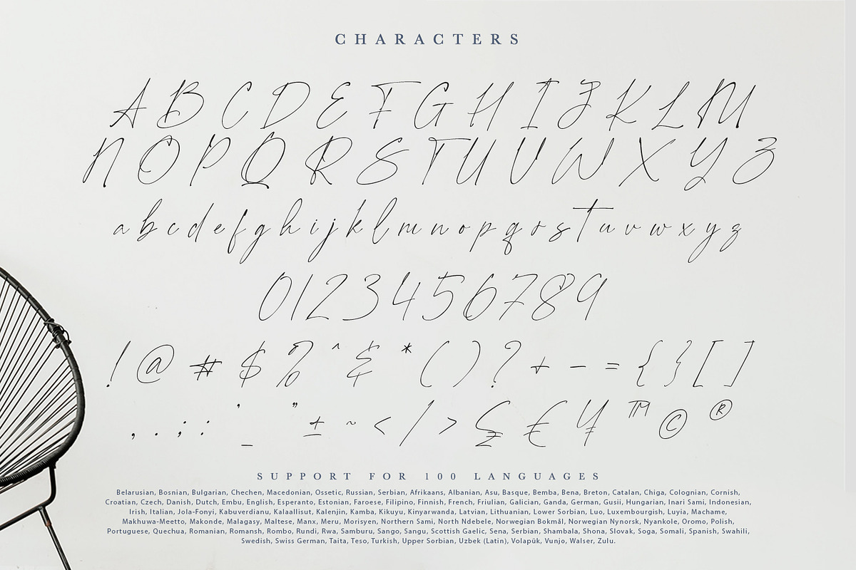 Pantheon Signature, a Script Font by din-studio.com (Photo 9 of 10)