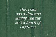 The Erupha Serif | 12 Font Files, a Serif Font by Pista Mova (Thumbnail 10 of 24)