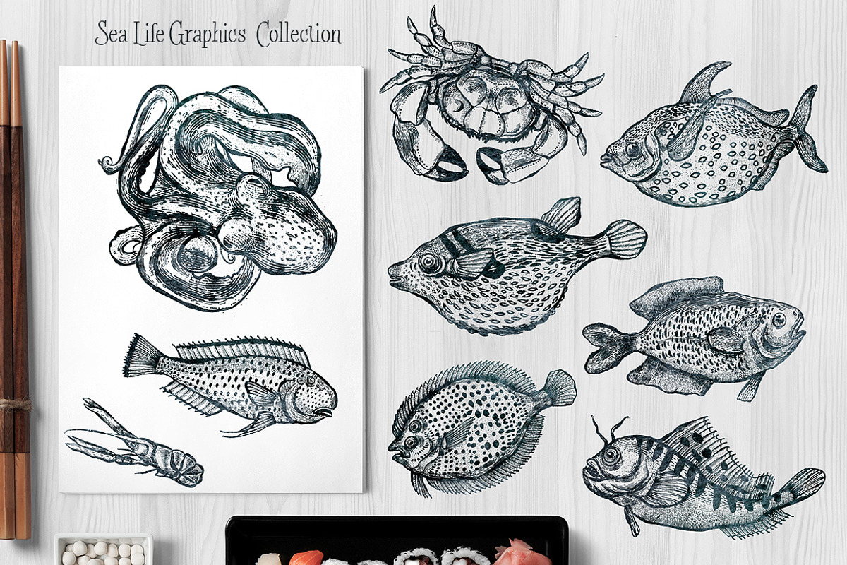 Vector Sea Life Graphics Collections, an Animal Illustration by ZiziMarket (Photo 1 of 5)