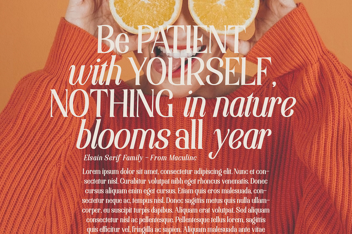 Elsain - Serif Font (16 Fonts), a Serif Font by Maculinc Type (Photo 9 of 11)