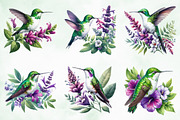 Beautiful Hummingbird Watercolor Png, an Illustration by Creative Art (Thumbnail 6 of 6)