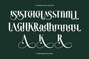 Advent Passage - Elegant Serif Font, a Serif Font by Flawless And Co (Thumbnail 10 of 10)