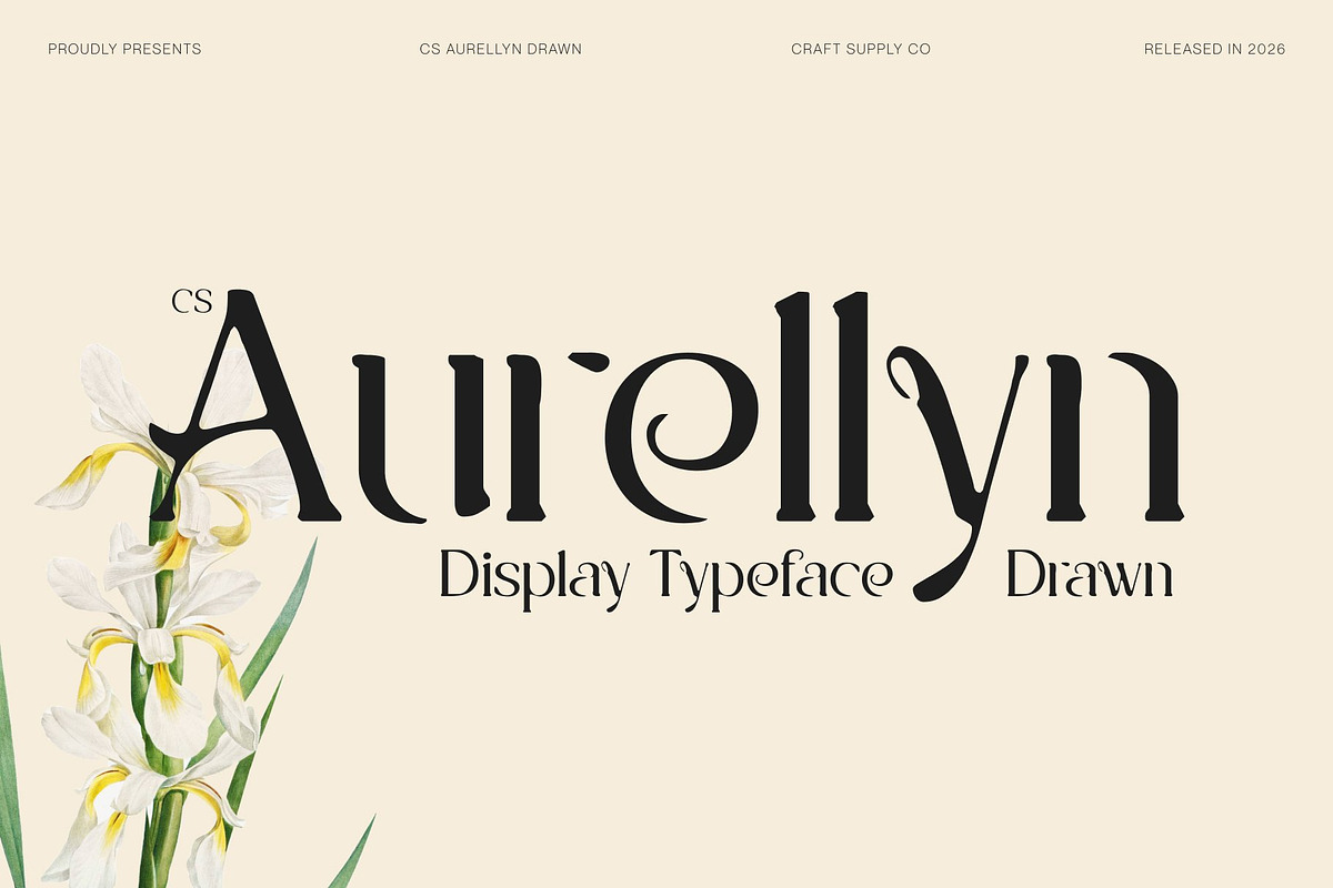 CS Aurellyn Drawn, a Serif Font by Craft Supply Co. (Photo 1 of 8)