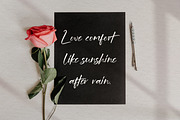 Wegirose, a Script Font by Integritype Studio (Thumbnail 3 of 15)