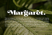 Rochie - Bold Retro Serif Font, a Serif Font by Sronstudio (Thumbnail 7 of 12)