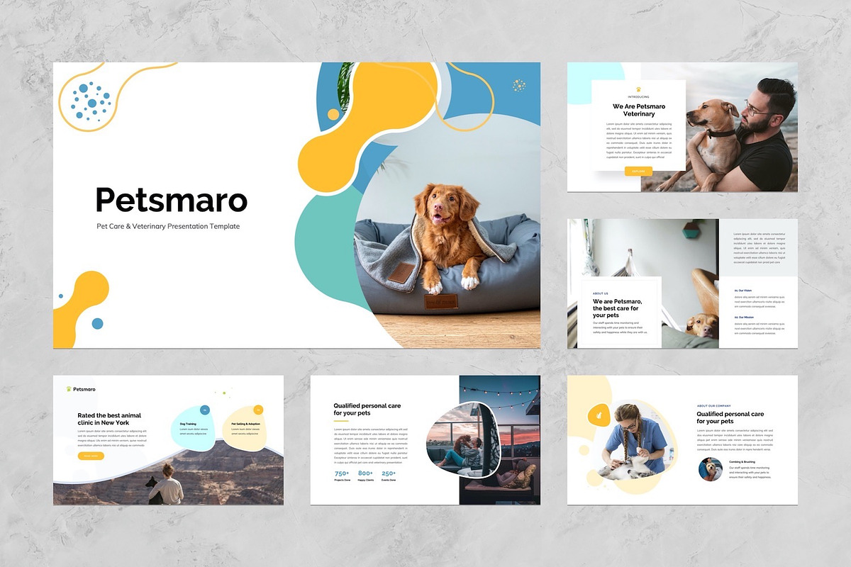 Pet Care PowerPoint Template, a Presentation Template by Graphue