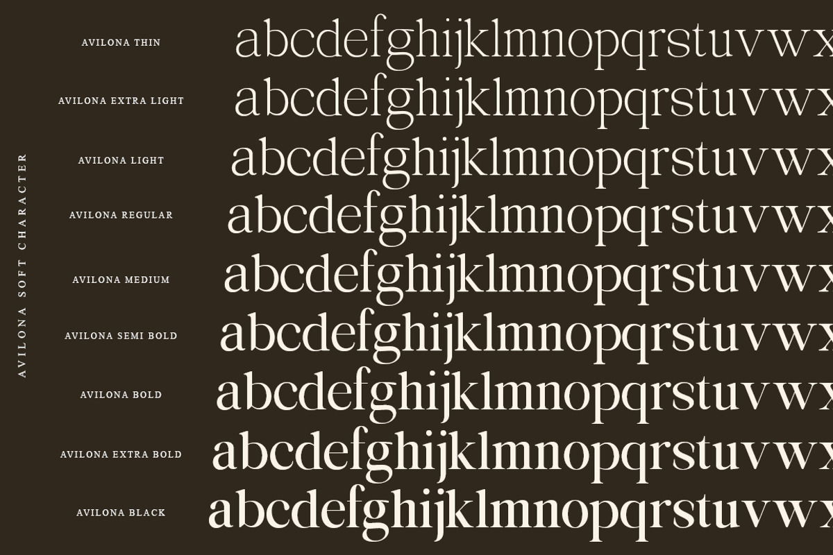 Avilona Super Family | 63 Style Font, a Serif Font by IM Studio (Photo 15 of 16)