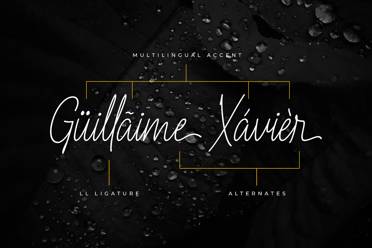 Fioretta Millano – Stylish Signature, a Script Font by Almarkhatype (Photo 8 of 10)