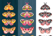 Night Moths, Butterflies Vector Set, a Graphic by Iraida_Bearlala (Thumbnail 2 of 5)