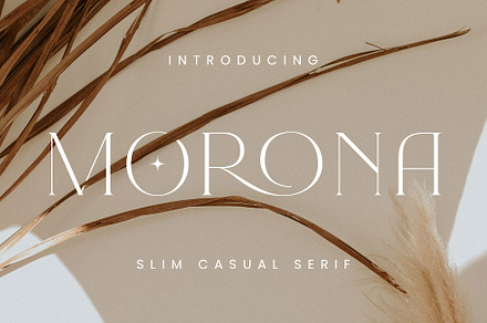 Morona - Elegant Serif, a Serif Font by Arterfak Project