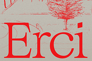 GG Erci – Variable, a Serif Font by GG Design (Thumbnail 1 of 5)