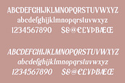 Modern Classic Font Bundle - 90% OFF, a Sans Serif Font by Bart Wesolek (Thumbnail 9 of 18)